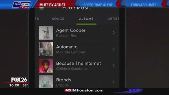 The Future Is Now - Spotify mute by artist feature