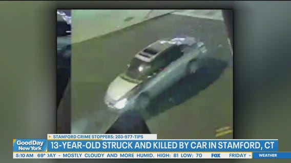 13-year-old struck and killed by fleeing vehicle: police