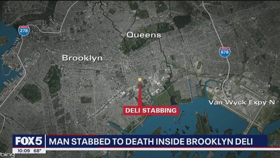 Man stabbed to death inside Brooklyn deli