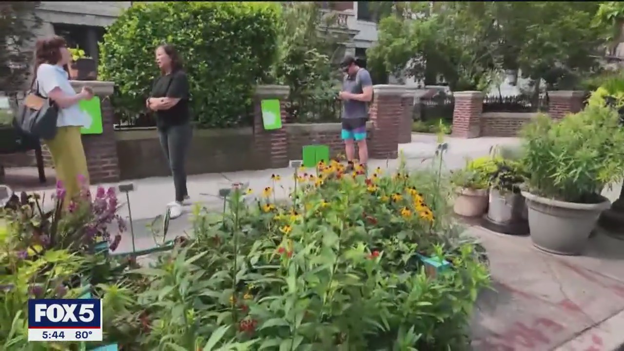 Greenest Block in Brooklyn