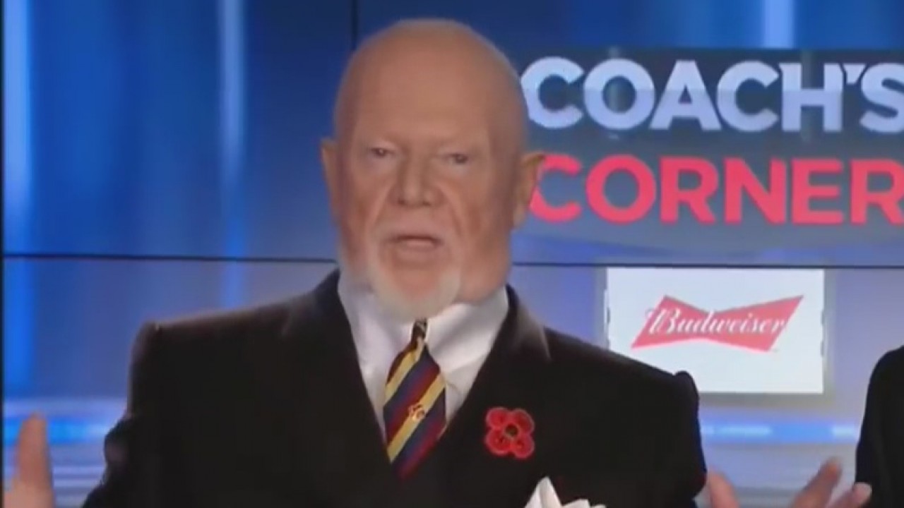 Don Cherry Canadian hockey announcer fired for remarks on air