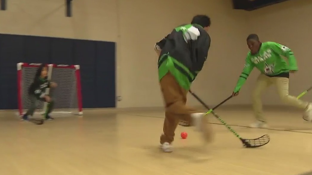 Stars initiative raises bar for inclusion in hockey