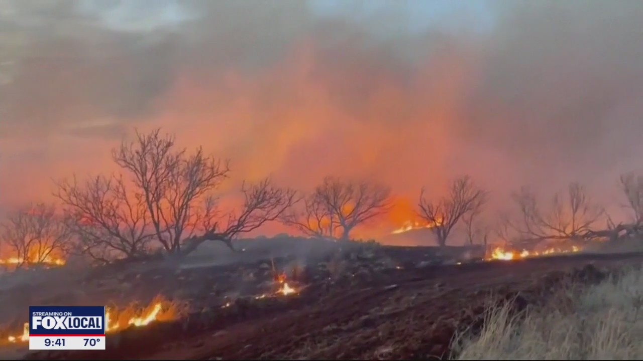 People send supplies to help those impacted by wildfires | FOX 4 Dallas ...