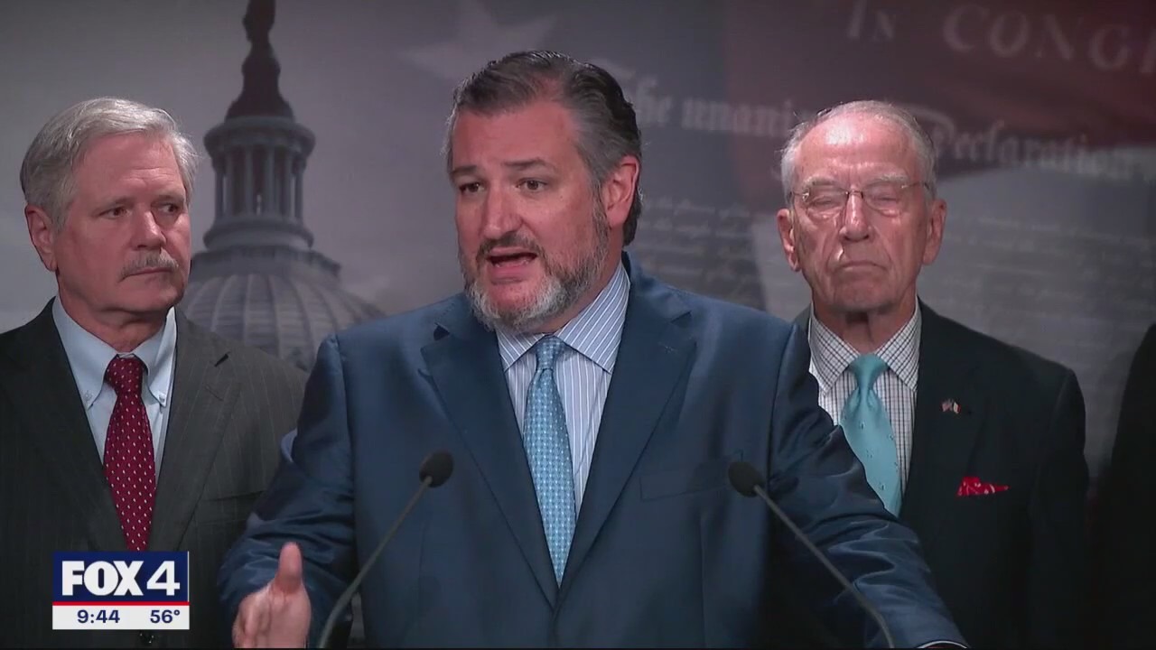 Texas: The Issue Is - Ted Cruz on Allred, Border