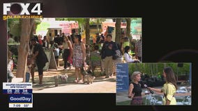 Crowd to gather at Klyde Warren Park for solar eclipse