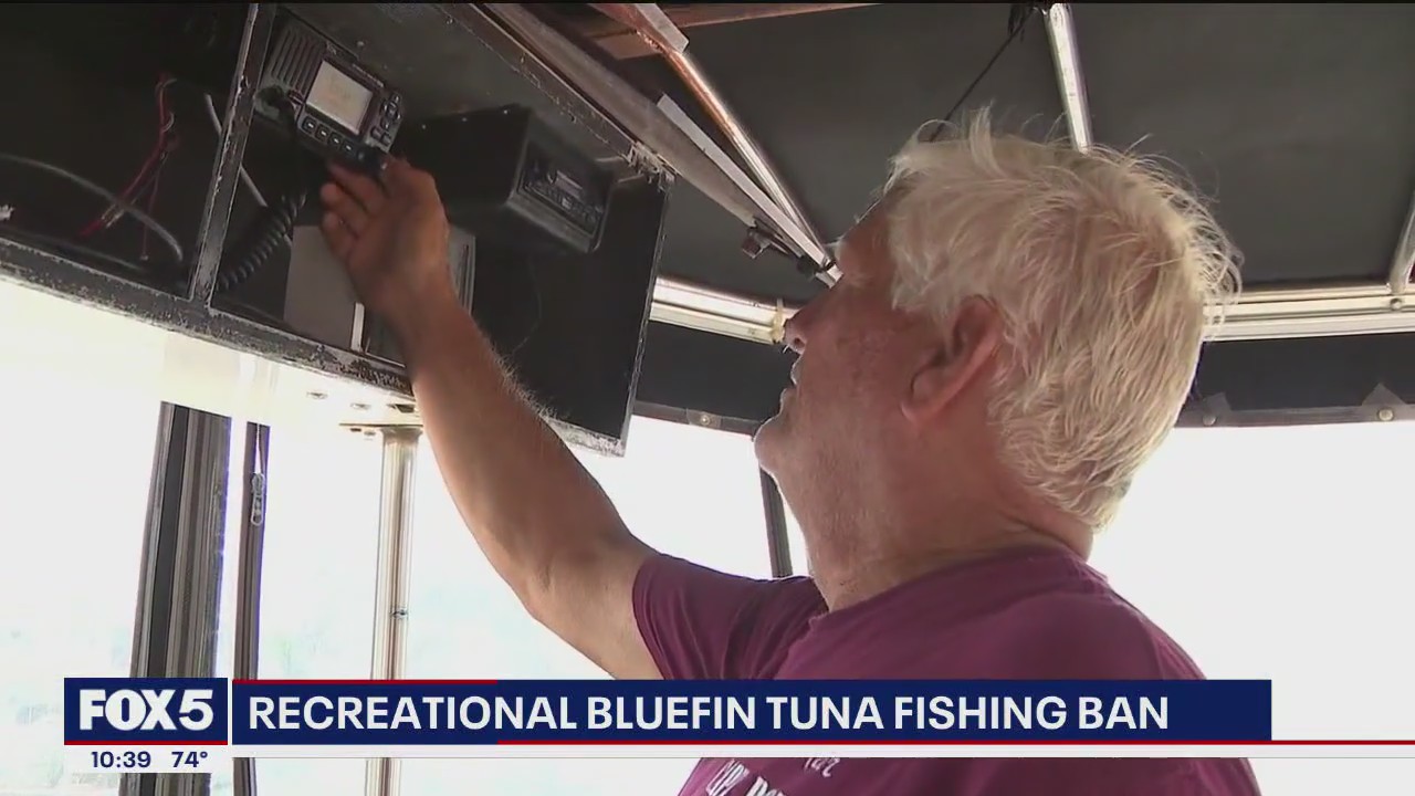 Recreational bluefin tuna fishing banned for the rest of the year