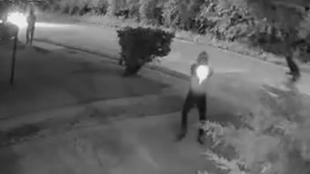 75-year-old Dallas woman's home shot 100+ times