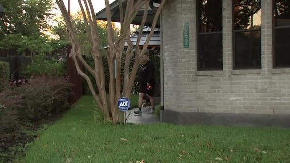 New social network app just for dogs