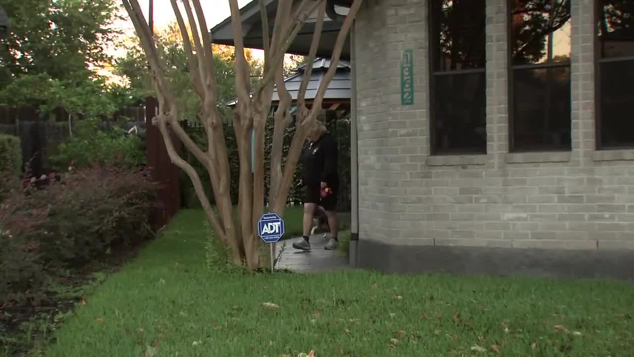 New social network app just for dogs