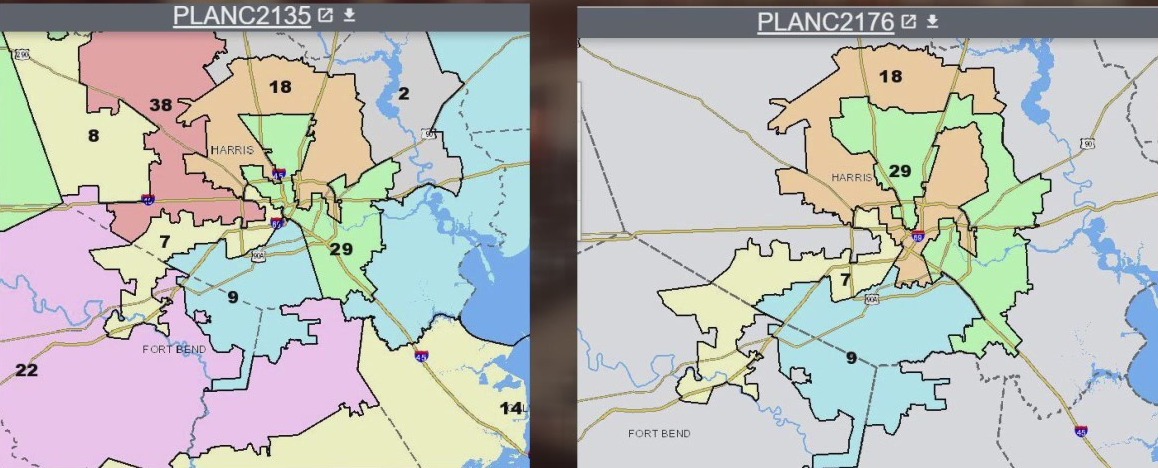 Effects of redistricting on 2022 primaries and beyond - What's Your Point?