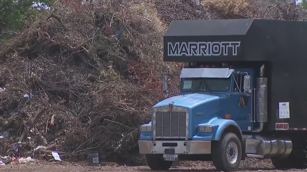 Clean-up from May storm continues across North Texas