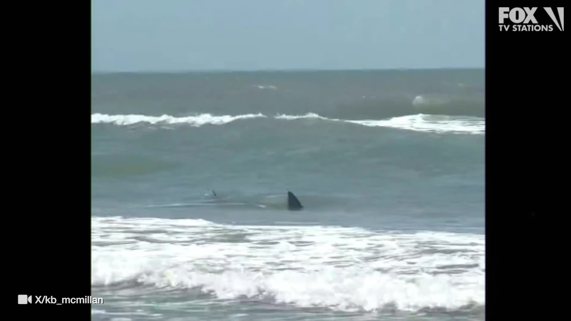 Sharks spotted at South Padre Island
