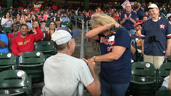 Houston Astros Marriage Proposal