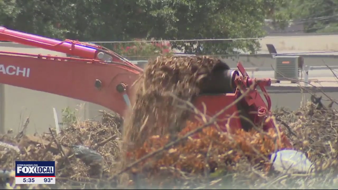Dallas college sues city of Dallas over mulch