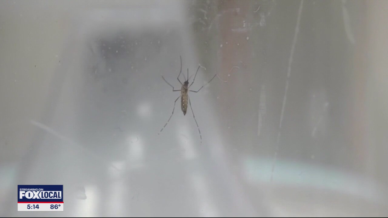 Mosquitoes test positive for West Nile in Dallas Co.