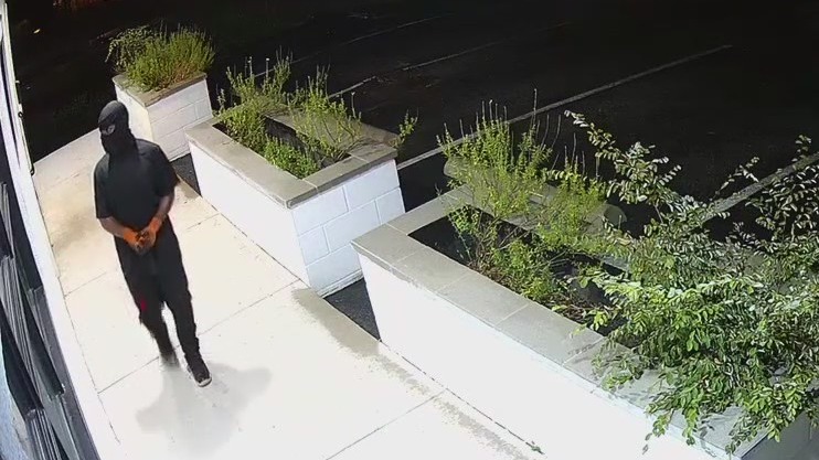 VIDEO: Attempted Dallas break-in caught on camera