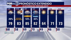 El Tiempo de 26 febrero de 2023