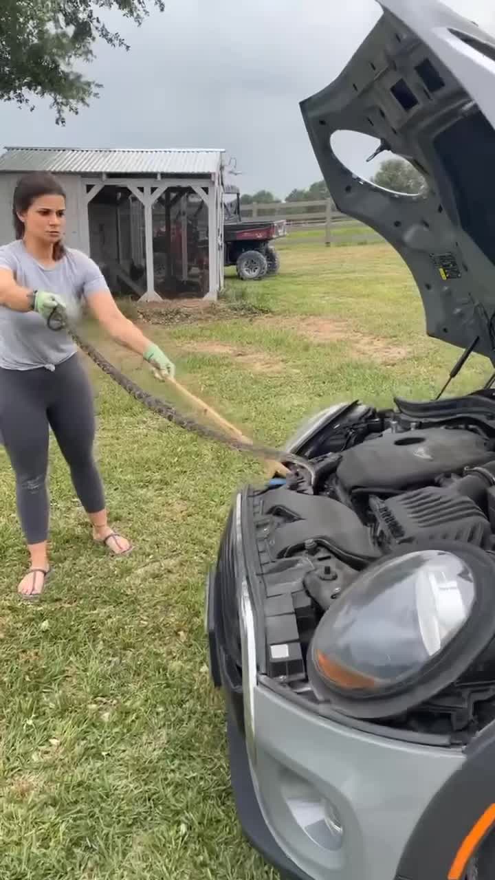 Texas mom fearlessly removes snake from car engine: video