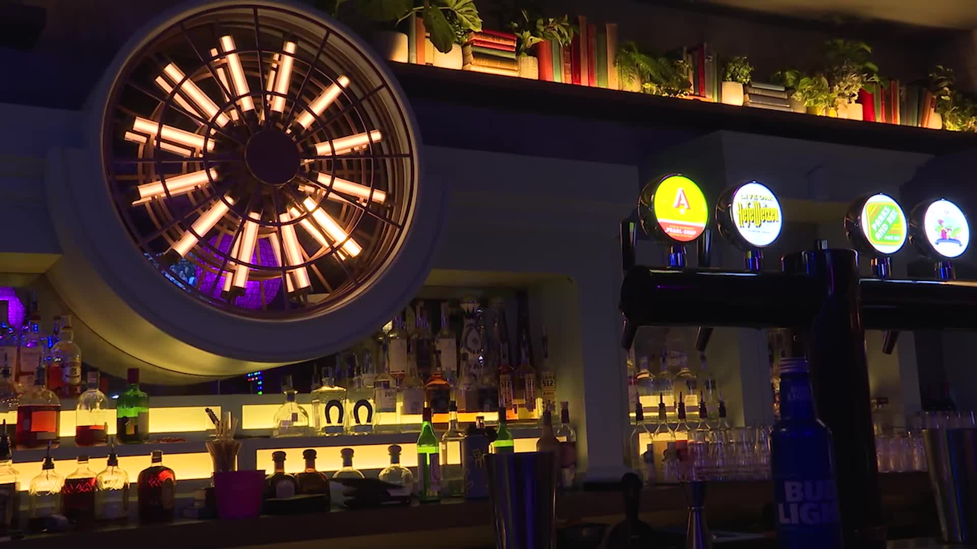 The Nightcap bar crawl