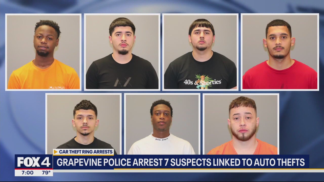 7 suspects linked to luxury auto theft ring