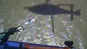 VIDEO: Surfer rescued by Coast Guard after being pushed offshore