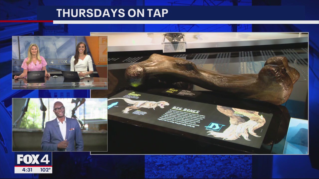 Thursdays on Tap at the Perot Museum