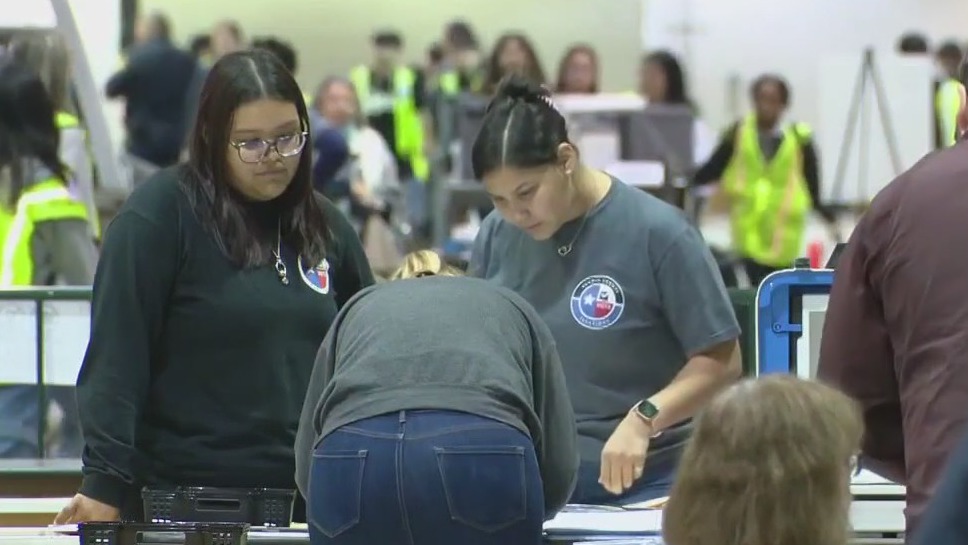 Who will run the November election?