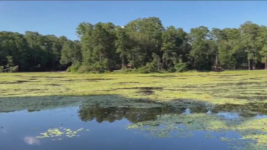 Exploring Coldspring, Texas