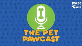 The Pet Pawcast: Caring for your new pet