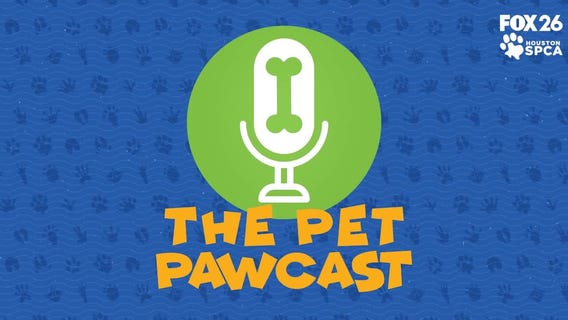 The Pet Pawcast: Caring for your new pet
