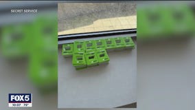 Secret Service foils tech plot near UN: Details