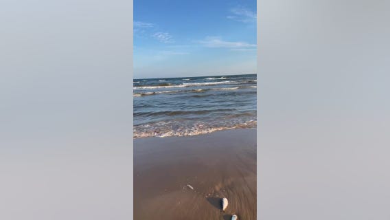 Red tide killing thousands of fish along gulf coast