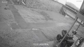 Video shows possible Pasadena murder suspects