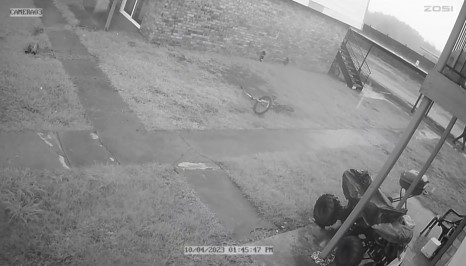 Video shows possible Pasadena murder suspects