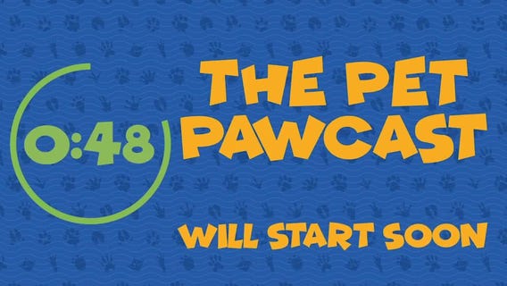 The Pet Pawcast: Caring for deaf pet