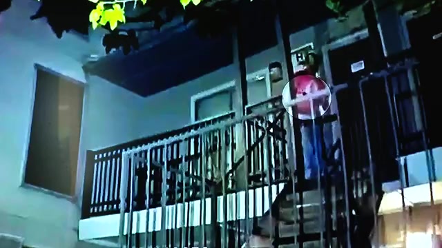 Dallas PD shoot, kill suspect with replica firearm