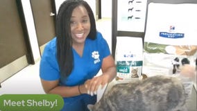 Pet Pawcast: Help your pet lose weight