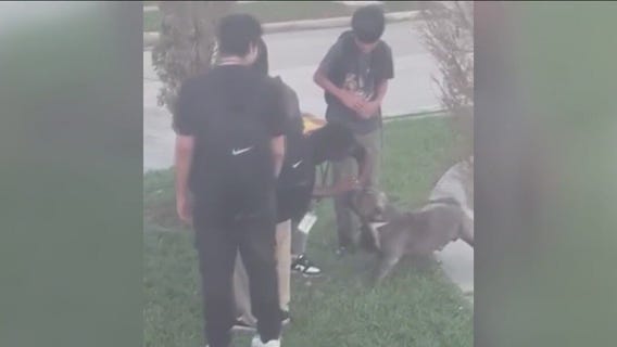 Dog attacks 2 students, bus driver