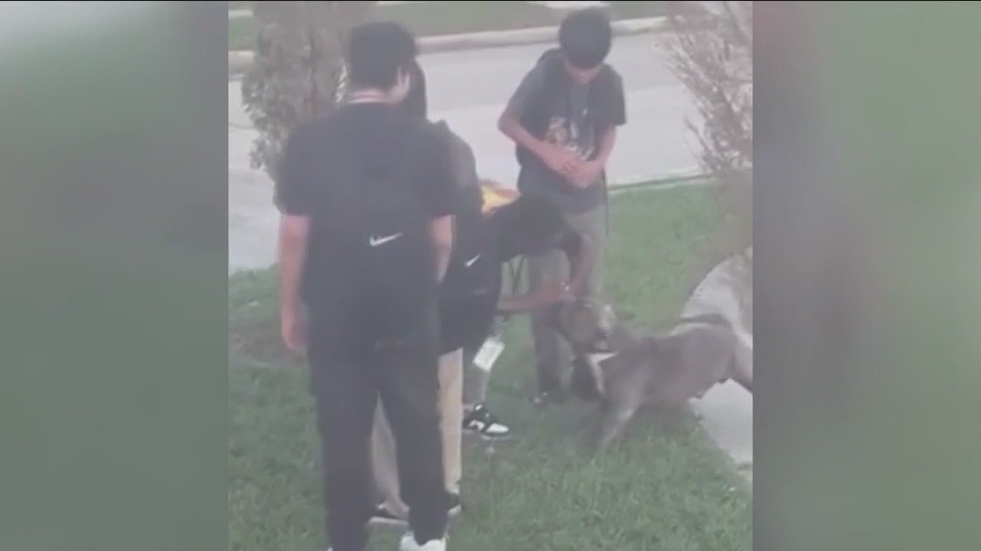 Dog attacks 2 students, bus driver