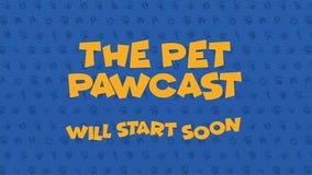 The Pet Pawcast: Pet Anxiety