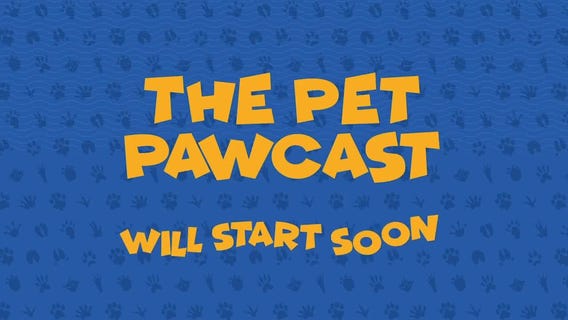 The Pet Pawcast: Pet Anxiety
