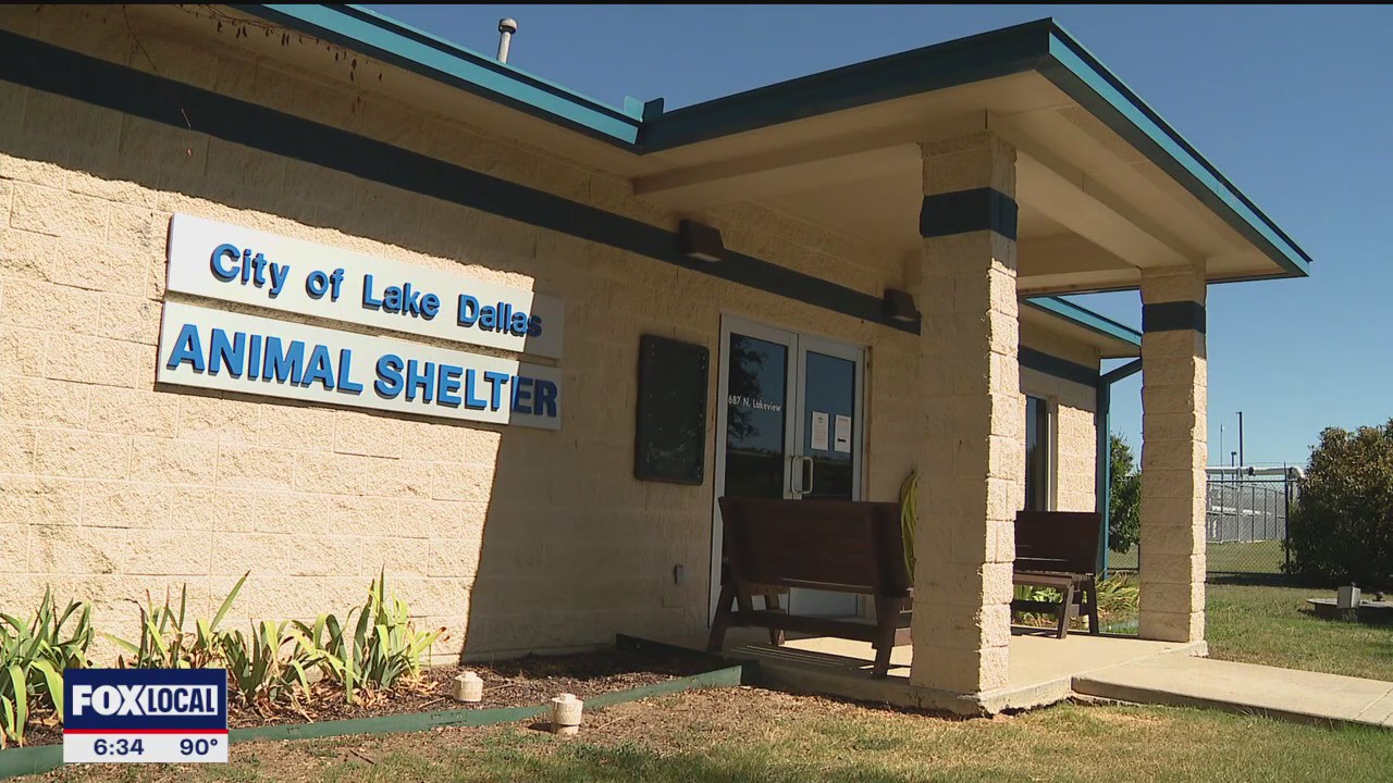 Lake Dallas permanently closes its animal shelter