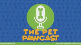 Pet Pawcast: How do dogs get heartworm disease?