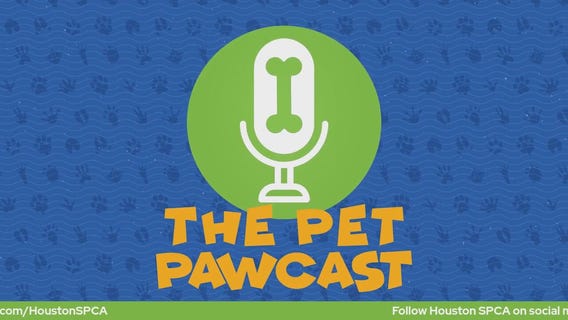 Pet Pawcast: How do dogs get heartworm disease?