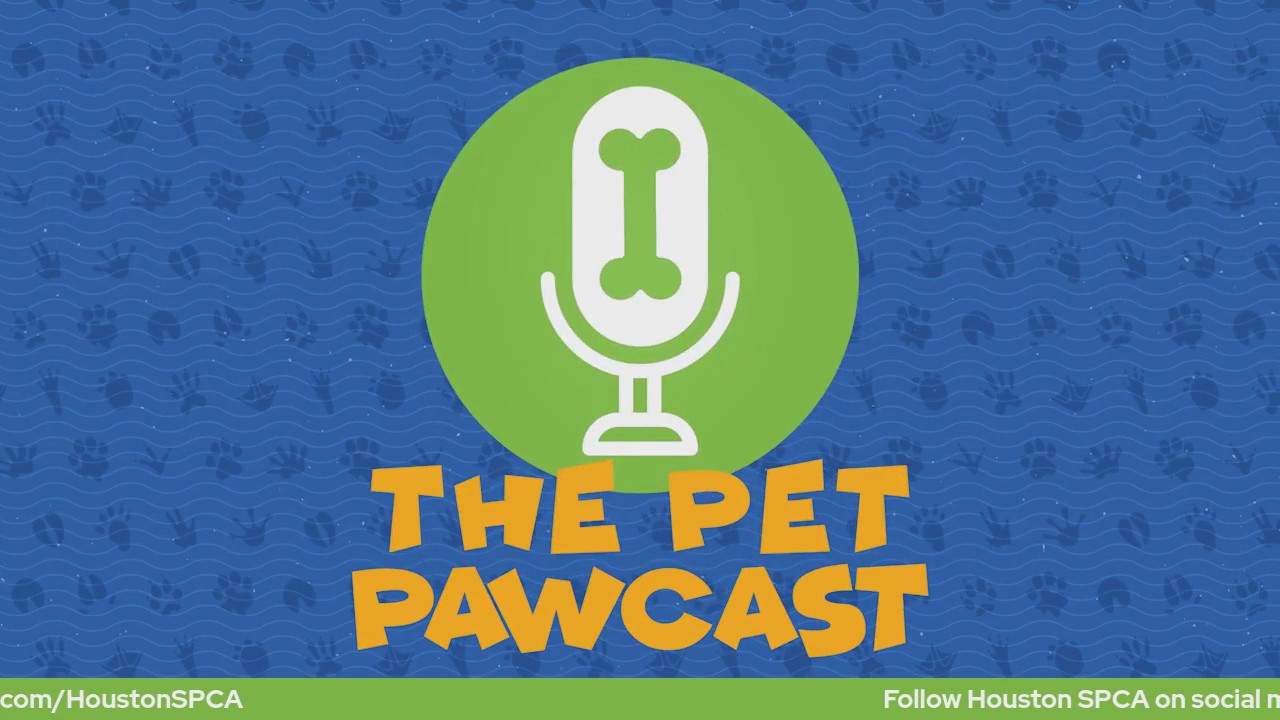 Pet Pawcast: How do dogs get heartworm disease?