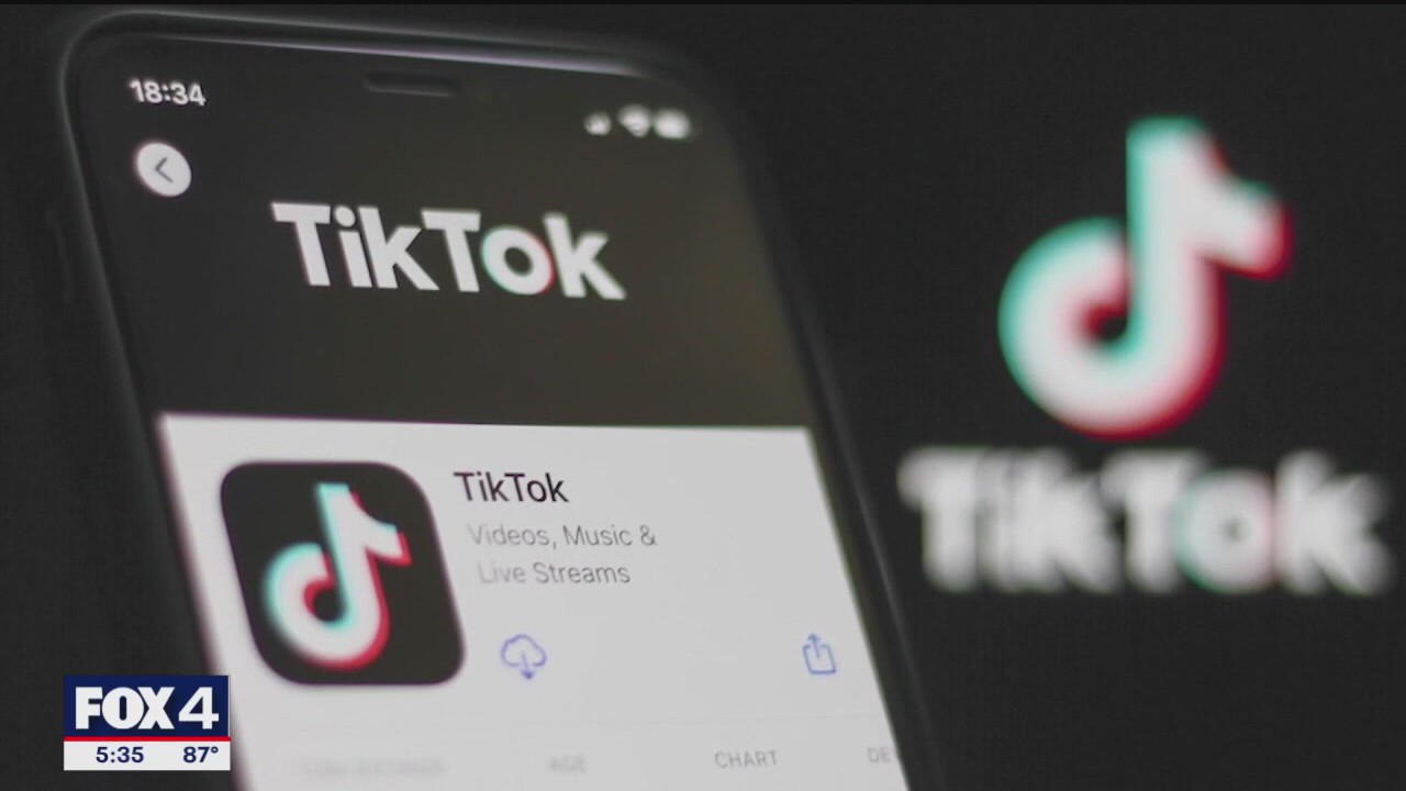 Texas sues TikTok over minor's data