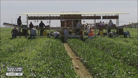 Pesticide exposure risk for thousands of students