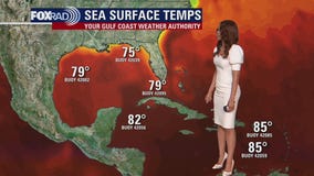 Tropical Weather Forecast - November 7, 2023