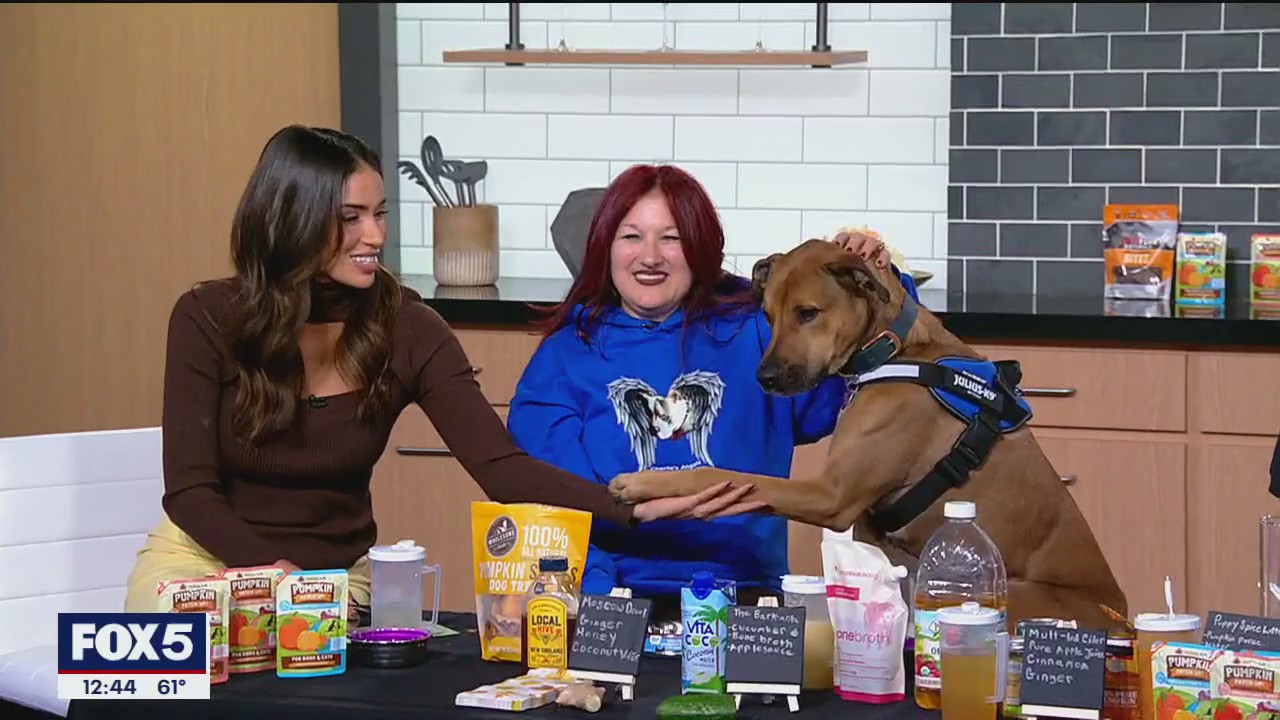 Drinks you and your dog can enjoy together