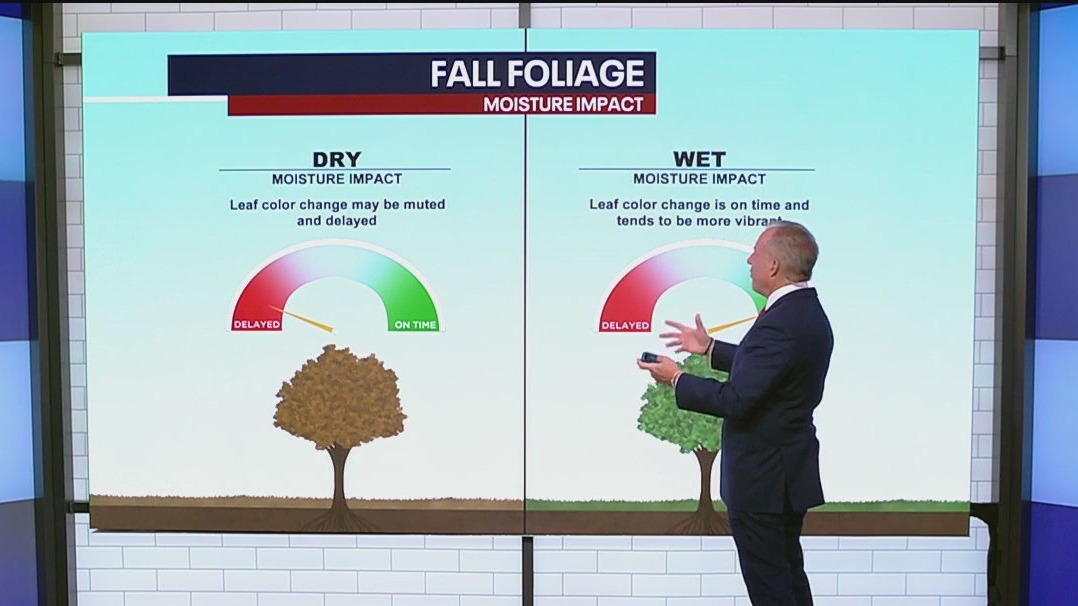 NYC weather: Fall, winter outlook